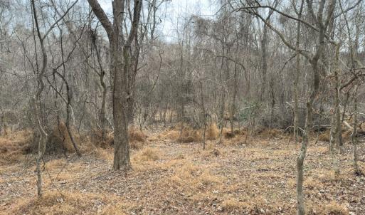 Photo #38 of Off Mt Pleasant Church Road, Manson, NC 12.6 acres