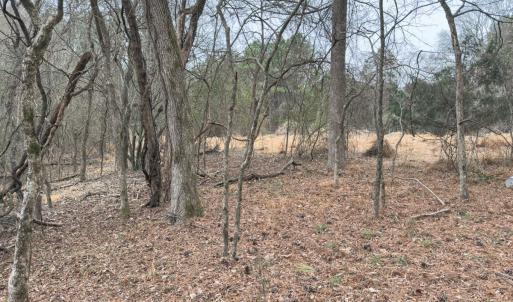 Photo #39 of Off Mt Pleasant Church Road, Manson, NC 12.6 acres