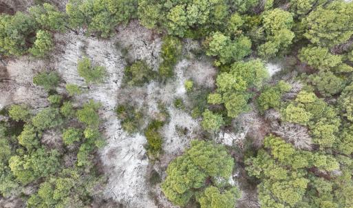 Photo #4 of Off Mt Pleasant Church Road, Manson, NC 12.6 acres