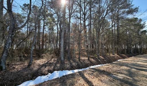 Photo #11 of  Off Sandy Ridge Road, Tyner, NC 36.2 acres