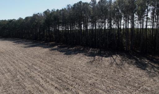 Photo #12 of  Off Sandy Ridge Road, Tyner, NC 36.2 acres