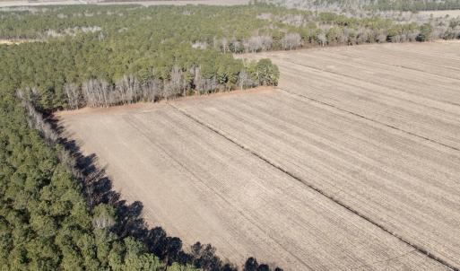 Photo #1 of  Off Sandy Ridge Road, Tyner, NC 36.2 acres