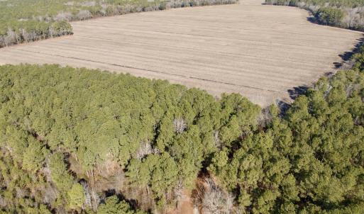 Photo #2 of  Off Sandy Ridge Road, Tyner, NC 36.2 acres