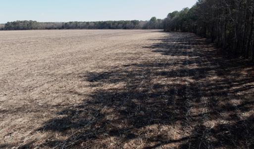 Photo #4 of  Off Sandy Ridge Road, Tyner, NC 36.2 acres