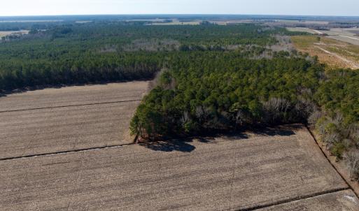 Photo #5 of  Off Sandy Ridge Road, Tyner, NC 36.2 acres