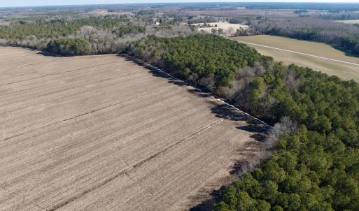 Photo #7 of  Off Sandy Ridge Road, Tyner, NC 36.2 acres