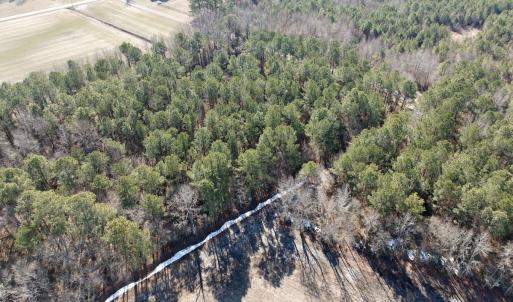Photo #8 of  Off Sandy Ridge Road, Tyner, NC 36.2 acres