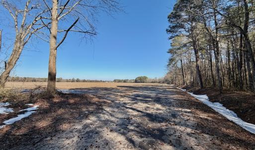 Photo #9 of  Off Sandy Ridge Road, Tyner, NC 36.2 acres