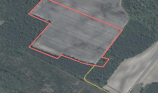 Photo #19 of  Off Sandy Ridge Road, Tyner, NC 36.2 acres