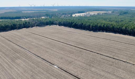 Photo #20 of  Off Sandy Ridge Road, Tyner, NC 36.2 acres