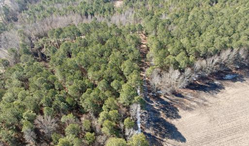 Photo #26 of  Off Sandy Ridge Road, Tyner, NC 36.2 acres