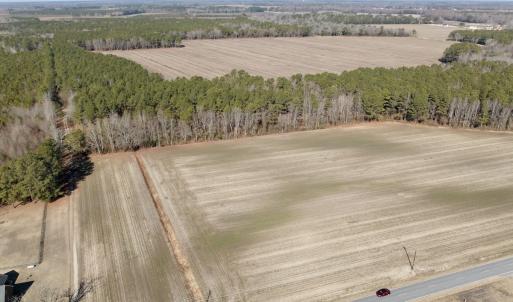 Photo #28 of  Off Sandy Ridge Road, Tyner, NC 36.2 acres