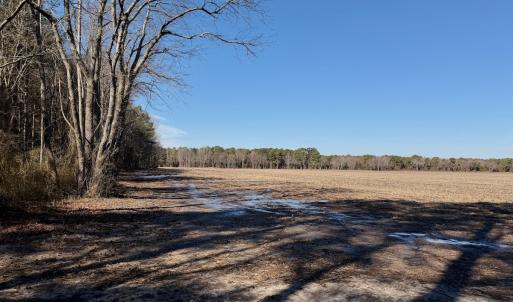 Photo #29 of  Off Sandy Ridge Road, Tyner, NC 36.2 acres