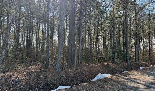Photo #31 of  Off Sandy Ridge Road, Tyner, NC 36.2 acres
