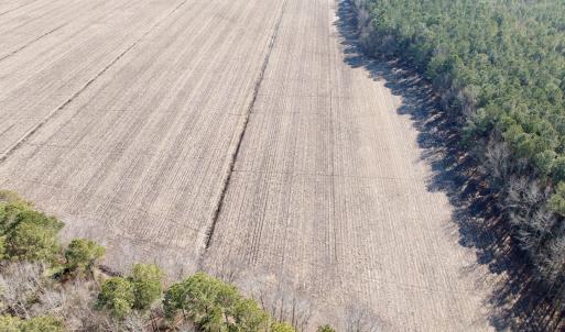 Photo #21 of  Off Sandy Ridge Road, Tyner, NC 36.2 acres