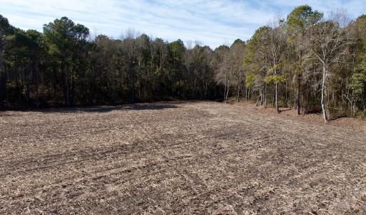 Photo #33 of  Off Sandy Ridge Road, Tyner, NC 36.2 acres