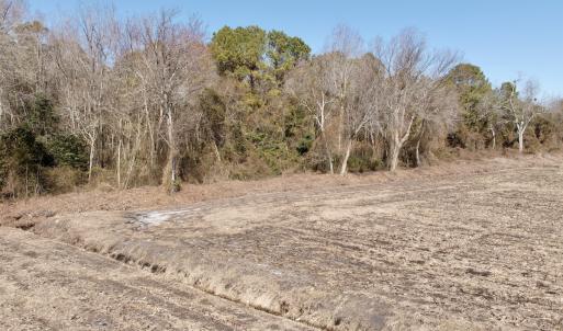 Photo #34 of  Off Sandy Ridge Road, Tyner, NC 36.2 acres