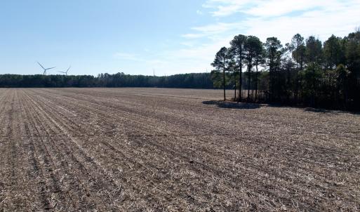 Photo #36 of  Off Sandy Ridge Road, Tyner, NC 36.2 acres