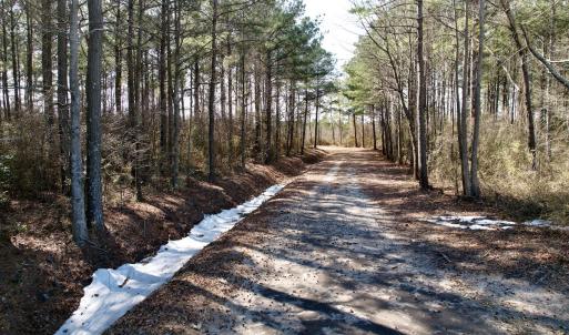 Photo #40 of  Off Sandy Ridge Road, Tyner, NC 36.2 acres