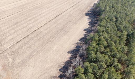 Photo #22 of  Off Sandy Ridge Road, Tyner, NC 36.2 acres