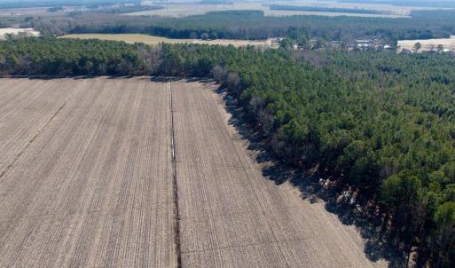 Photo #23 of  Off Sandy Ridge Road, Tyner, NC 36.2 acres