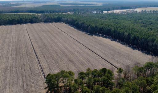 Photo #24 of  Off Sandy Ridge Road, Tyner, NC 36.2 acres