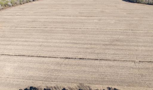 Photo #25 of  Off Sandy Ridge Road, Tyner, NC 36.2 acres