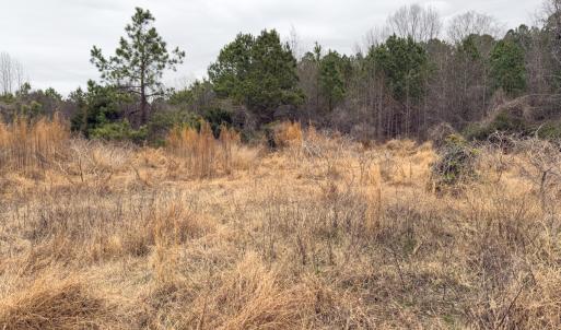 Photo #11 of Off Mt Pleasant Church Road, Manson, NC 12.6 acres