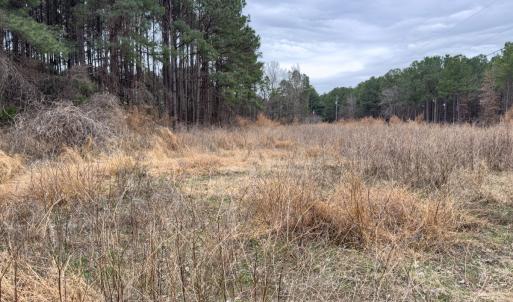 Photo #15 of Off Mt Pleasant Church Road, Manson, NC 12.6 acres