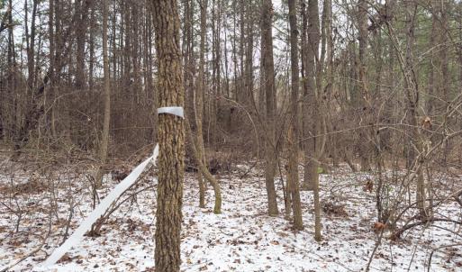 Photo #24 of Off Mt Pleasant Church Road, Manson, NC 12.6 acres