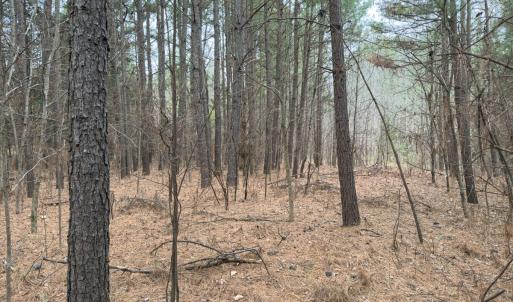 Photo #31 of Off Mt Pleasant Church Road, Manson, NC 12.6 acres