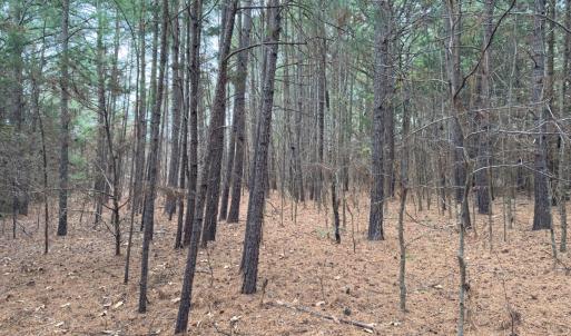 Photo #33 of Off Mt Pleasant Church Road, Manson, NC 12.6 acres
