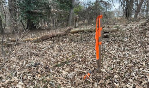 Photo #36 of Off Mt Pleasant Church Road, Manson, NC 12.6 acres