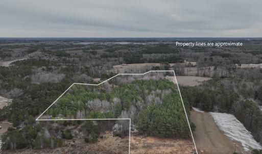 Photo #5 of Off Mt Pleasant Church Road, Manson, NC 12.6 acres