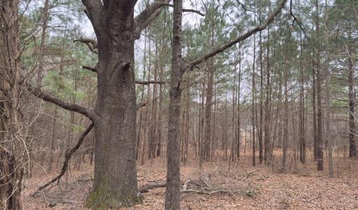 Photo #41 of Off Mt Pleasant Church Road, Manson, NC 12.6 acres