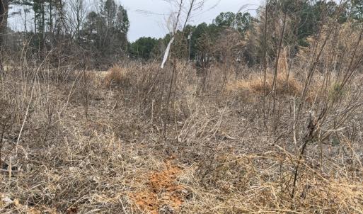 Photo #42 of Off Mt Pleasant Church Road, Manson, NC 12.6 acres