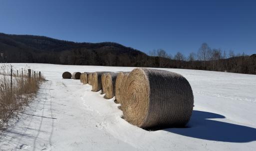 Photo #11 of  Off of Stevens Chapel Road,,  Blue Ridge, VA 50.1 acres