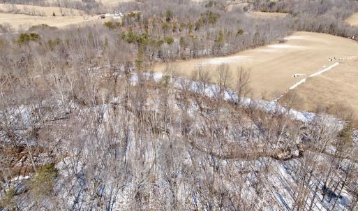 Photo #13 of  Off of Stevens Chapel Road,,  Blue Ridge, VA 50.1 acres