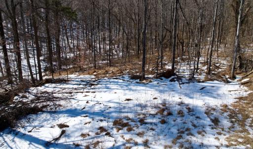 Photo #23 of  Off of Stevens Chapel Road,,  Blue Ridge, VA 50.1 acres