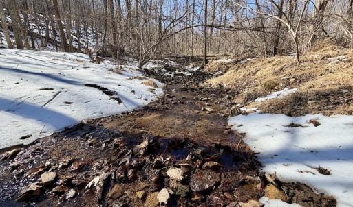 Photo #5 of  Off of Stevens Chapel Road,,  Blue Ridge, VA 50.1 acres