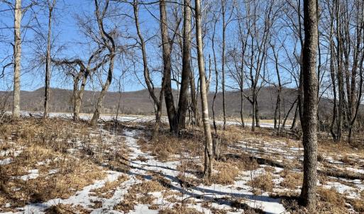 Photo #8 of  Off of Stevens Chapel Road,,  Blue Ridge, VA 50.1 acres
