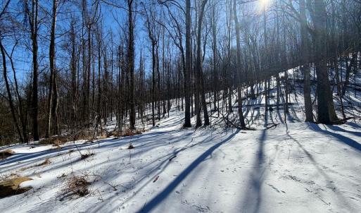 Photo #28 of  Off of Stevens Chapel Road,,  Blue Ridge, VA 50.1 acres