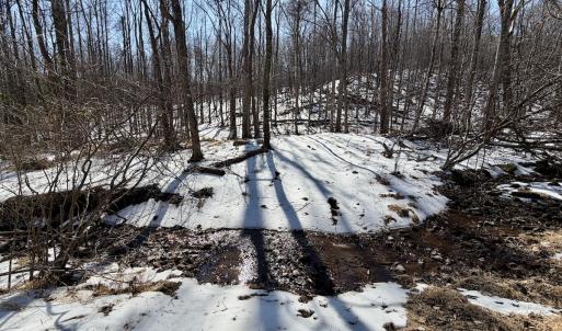 Photo #29 of  Off of Stevens Chapel Road,,  Blue Ridge, VA 50.1 acres
