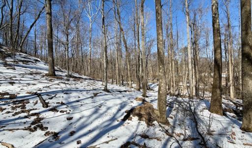 Photo #30 of  Off of Stevens Chapel Road,,  Blue Ridge, VA 50.1 acres