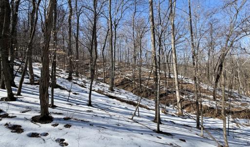 Photo #31 of  Off of Stevens Chapel Road,,  Blue Ridge, VA 50.1 acres