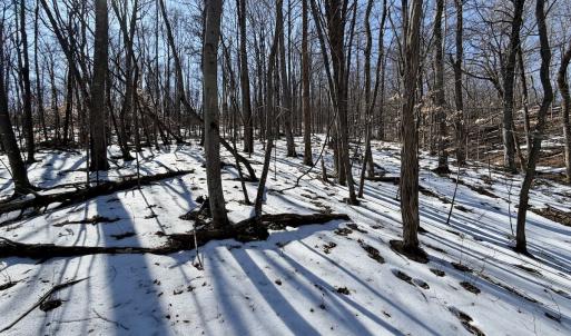 Photo #32 of  Off of Stevens Chapel Road,,  Blue Ridge, VA 50.1 acres