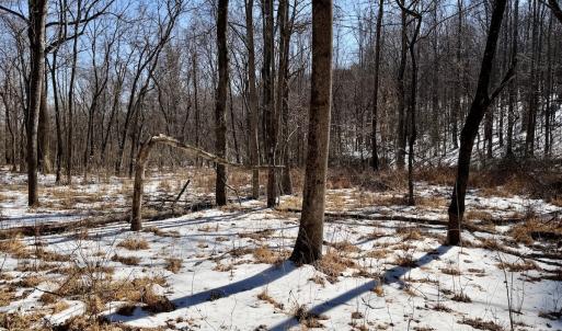 Photo #35 of  Off of Stevens Chapel Road,,  Blue Ridge, VA 50.1 acres