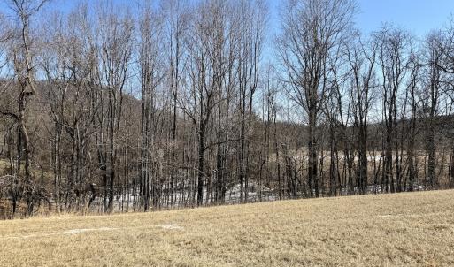 Photo #36 of  Off of Stevens Chapel Road,,  Blue Ridge, VA 50.1 acres