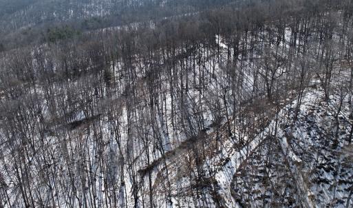 Photo #49 of  Off of Stevens Chapel Road,,  Blue Ridge, VA 50.1 acres