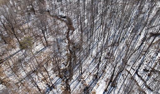 Photo #50 of  Off of Stevens Chapel Road,,  Blue Ridge, VA 50.1 acres